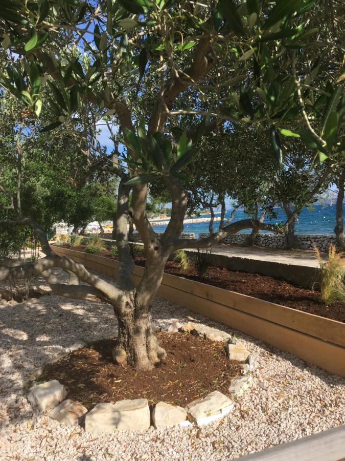Galeb Daire Vodice Dış mekan fotoğraf