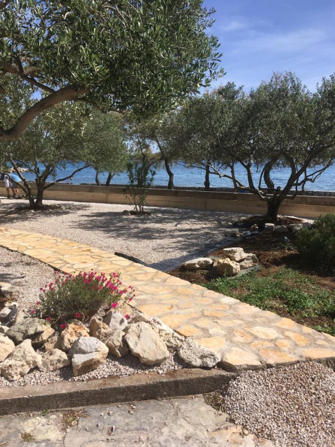 Galeb Daire Vodice Dış mekan fotoğraf