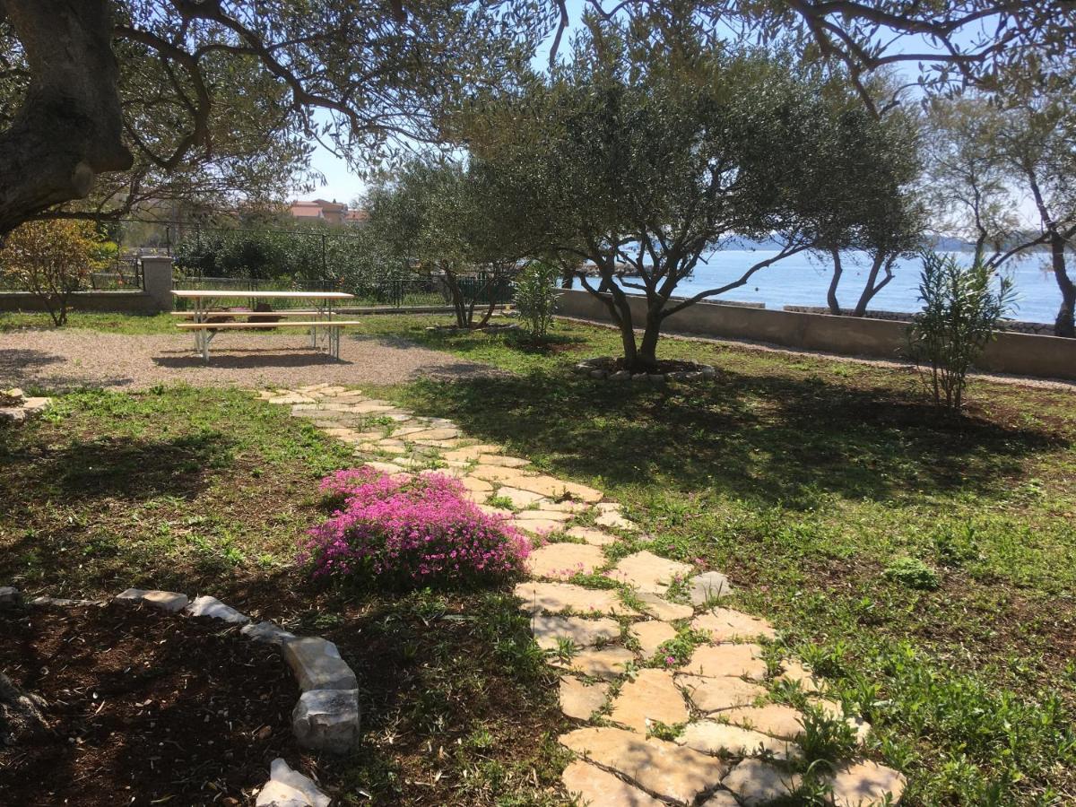 Galeb Daire Vodice Dış mekan fotoğraf