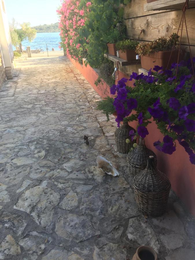 Galeb Daire Vodice Dış mekan fotoğraf