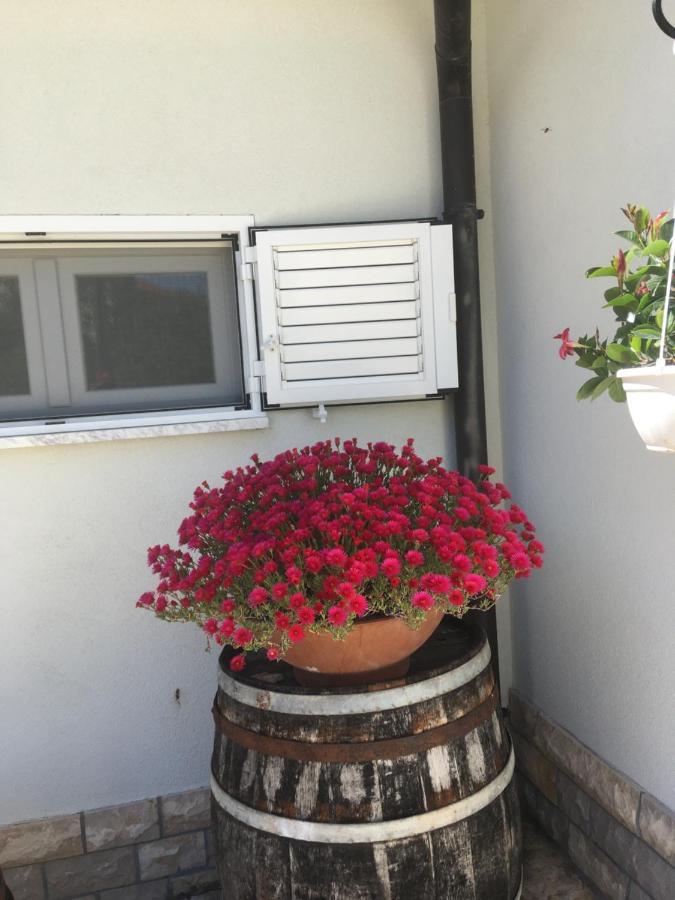 Galeb Daire Vodice Dış mekan fotoğraf